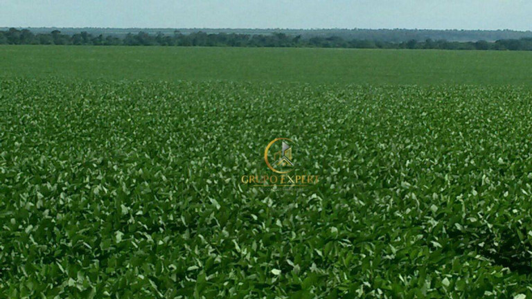 Fazenda à Venda, 159.120.000 m² em Zona Rural - Nova Ubiratã