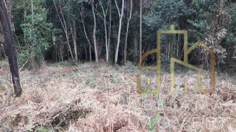 Imagem Terreno à Venda, 5.200 m² em Moreiras - Mairinque Imagem Terreno à Venda, 5.200 m² em Moreiras - Mairinque