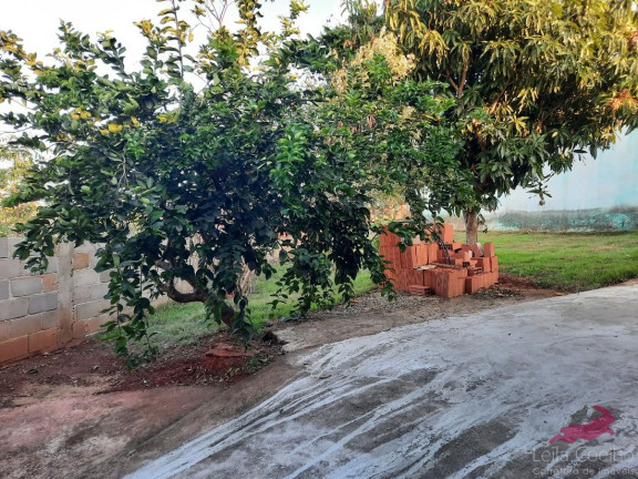 Chácara com 3 Quartos à Venda, 100 m² em São Caetano - Italva