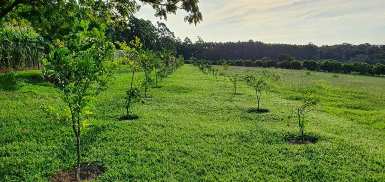 Imagem Imóvel com 2 Quartos à Venda, 40.000 m² em Sousas - Campinas Imagem Imóvel com 2 Quartos à Venda, 40.000 m² em Sousas - Campinas