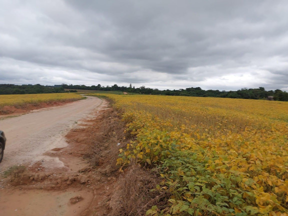 Imagem Imóvel à Venda, 24.200 m² em Centro - Araucária Imagem Imóvel à Venda, 24.200 m² em Centro - Araucária