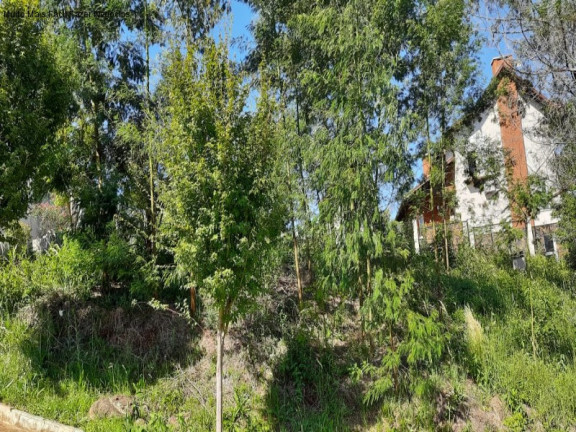 Imagem Terreno à Venda, 471 m² em Piá - Nova Petrópolis Imagem Terreno à Venda, 471 m² em Piá - Nova Petrópolis
