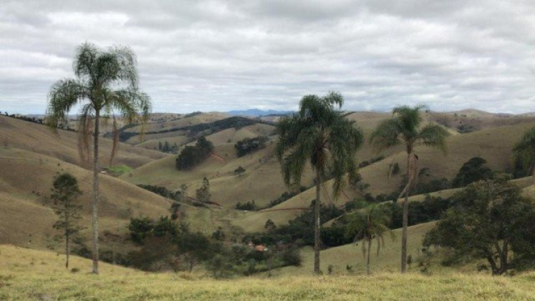 Imagem Fazenda à Venda, 5.000 m² em Cunha Imagem Fazenda à Venda, 5.000 m² em Cunha