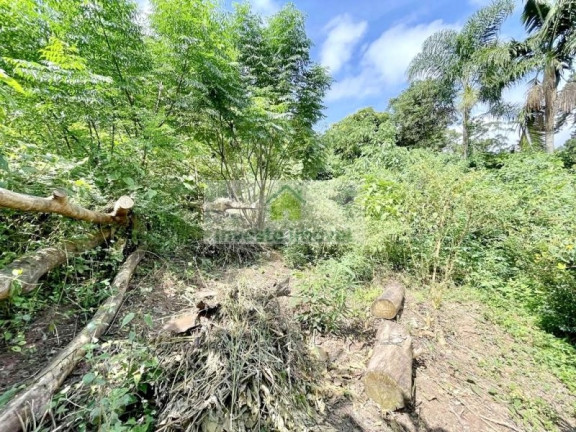 Imagem Imóvel à Venda, 907 m² em Granja Viana - Cotia Imagem Imóvel à Venda, 907 m² em Granja Viana - Cotia