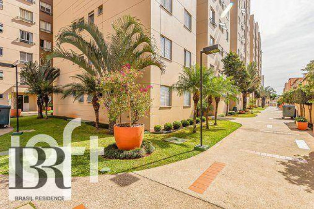Imagem Apartamento com 2 Quartos à Venda, 48 m² em Campo Grande - São Paulo