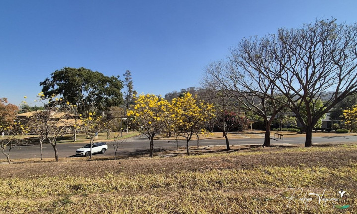 Imagem Terreno à Venda, 1.929 m² em Residencial Aldeia Do Vale - Goiânia Imagem Terreno à Venda, 1.929 m² em Residencial Aldeia Do Vale - Goiânia