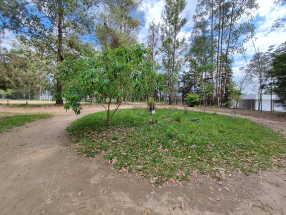 Imagem Chácara com 2 Quartos à Venda, 300 m² em Figueira - Guaratinguetá