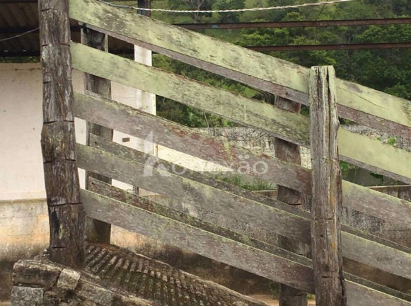 Imagem Fazenda à Venda, 400 m² em Jardim Prado - Santa Branca