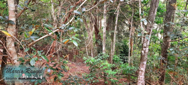 Imagem Imóvel à Venda, 8.650 m² em Caxeta - Campos Dos Goytacazes