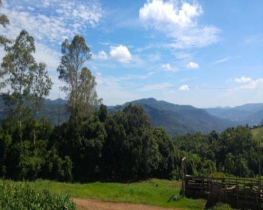 Imagem Imóvel com 3 Quartos à Venda, 238 m² em Santa Inês - Nova Petrópolis