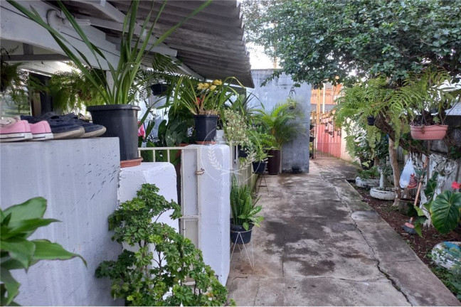 Imagem Casa com 8 Quartos à Venda, 408 m² em Vila Sônia - São Paulo