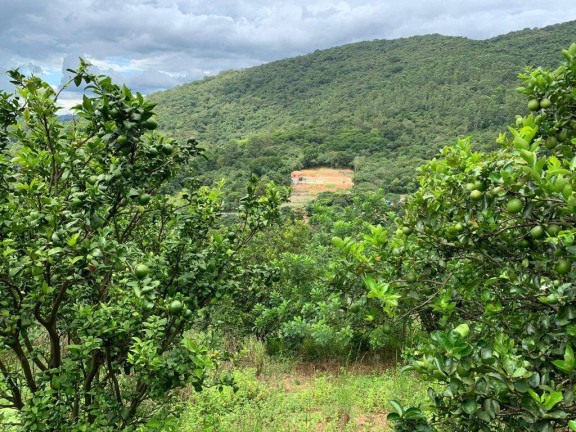 Chácara com 6 Quartos à Venda, 300 m² em Rio Acima - Mairiporã