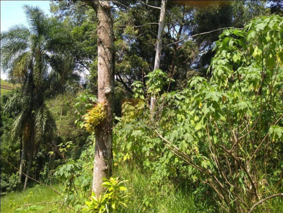 Imagem Terreno à Venda, 12.000 m² em Chácara Jaraguá - São Paulo Imagem Terreno à Venda, 12.000 m² em Chácara Jaraguá - São Paulo