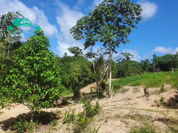 Imagem Imóvel à Venda, 800 m² em Curralinho - Mata De São João Imagem Imóvel à Venda, 800 m² em Curralinho - Mata De São João