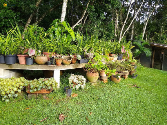Imagem Fazenda à Venda, 10.000 m² em Vila Junckes - São Pedro De Alcântara Imagem Fazenda à Venda, 10.000 m² em Vila Junckes - São Pedro De Alcântara