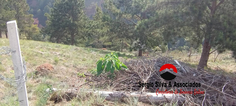 Imagem Terreno à Venda, 1.048 m² em Atalaia - Campos Do Jordão Imagem Terreno à Venda, 1.048 m² em Atalaia - Campos Do Jordão