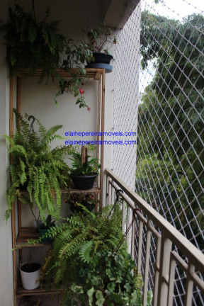 Imagem Apartamento com 3 Quartos à Venda, 65 m² em Jardim Caboré - São Paulo Imagem Apartamento com 3 Quartos à Venda, 65 m² em Jardim Caboré - São Paulo