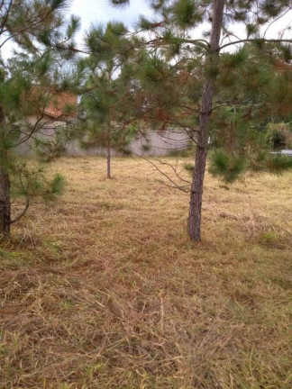 Imagem Terreno à Venda, 300 m² em Jardim Novo Horizonte - Araçoiaba Da Serra