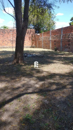 Imagem Casa com 3 Quartos à Venda, 500 m² em Pinheiro Machado - Santa Maria Imagem Casa com 3 Quartos à Venda, 500 m² em Pinheiro Machado - Santa Maria