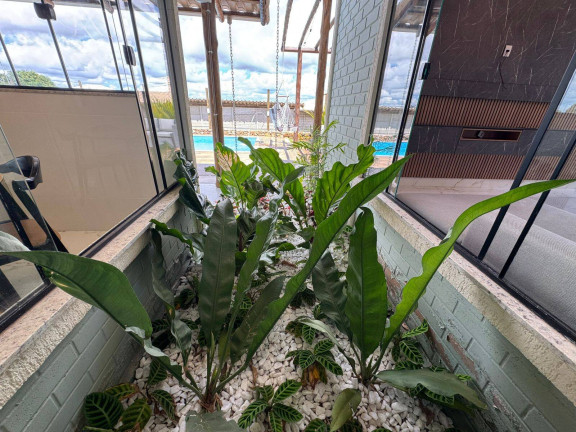 Imagem Chácara com 3 Quartos à Venda, 1 m² em Pedras - Itatiaiuçu