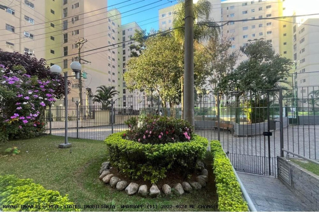 Imagem Apartamento com 3 Quartos à Venda, 62 m² em Vila Moraes - São Paulo Imagem Apartamento com 3 Quartos à Venda, 62 m² em Vila Moraes - São Paulo