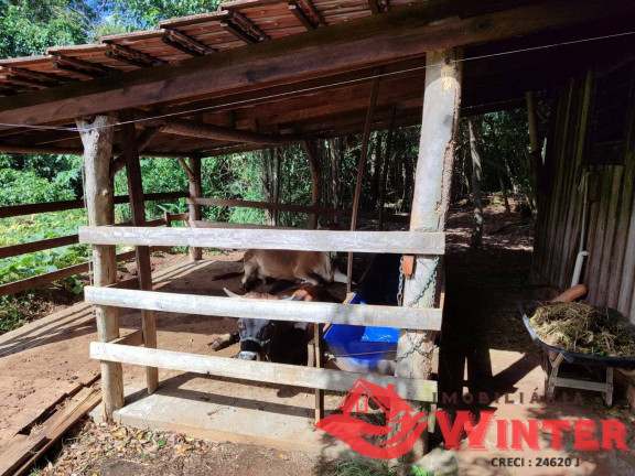 Imagem Chácara com 2 Quartos à Venda, 90 m² em Bananal - Feliz Imagem Chácara com 2 Quartos à Venda, 90 m² em Bananal - Feliz