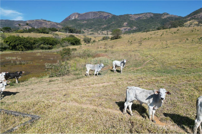 Imagem Fazenda à Venda, 3.650.000 m² em Zona Rual - Andradas