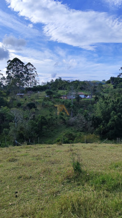 Imagem Fazenda à Venda, em Canguiri - Imaruí Imagem Fazenda à Venda, em Canguiri - Imaruí