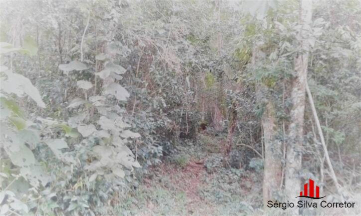 Imagem Chácara com 4 Quartos à Venda, 45.000 m² em Lageado - Santo Antônio Do Pinhal Imagem Chácara com 4 Quartos à Venda, 45.000 m² em Lageado - Santo Antônio Do Pinhal