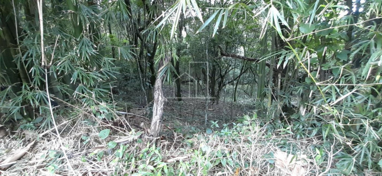 Terreno à Venda, 2.024 m² em Vargem Grande - Florianópolis