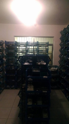 Imagem Sala Comercial à Venda, 404 m² em Barreiros - São José Imagem Sala Comercial à Venda, 404 m² em Barreiros - São José