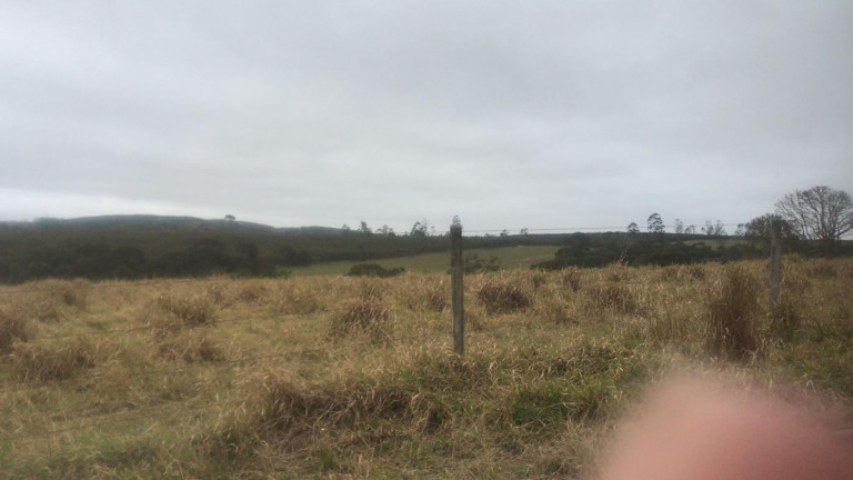 Imagem Fazenda à Venda, 59 m² em Rural - São Miguel Arcanjo Imagem Fazenda à Venda, 59 m² em Rural - São Miguel Arcanjo