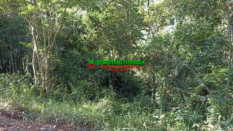 Imagem Chácara à Venda, 2 m² em Centro - Paraibuna Imagem Chácara à Venda, 2 m² em Centro - Paraibuna
