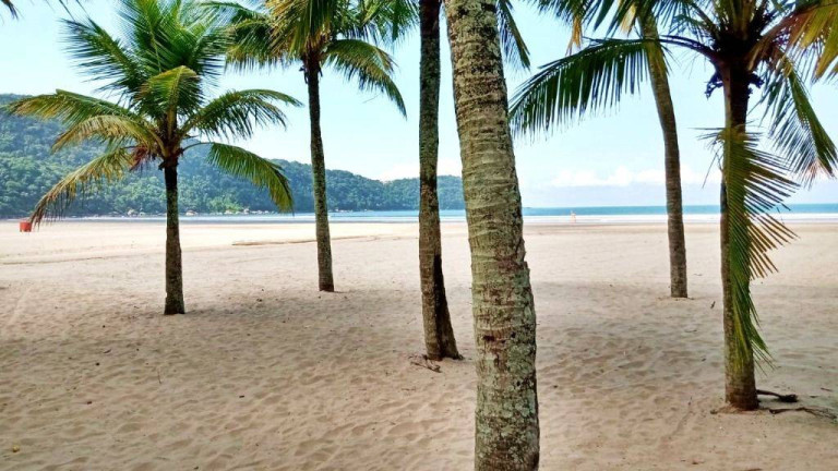 Imagem Kitnet com 1 Quarto à Venda, 28 m² em Ocian - Praia Grande