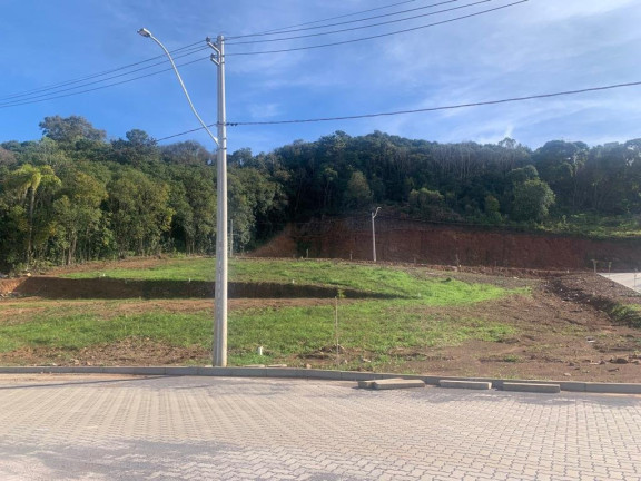 Imagem Terreno à Venda, 259 m² em Sao Roque - Bento Gonçalves Imagem Terreno à Venda, 259 m² em Sao Roque - Bento Gonçalves