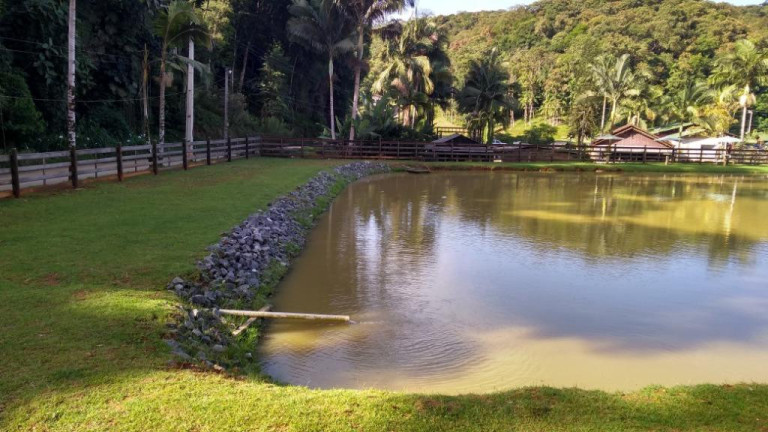 Imagem Fazenda à Venda, 900 m² em Vila Itoupava - Blumenau Imagem Fazenda à Venda, 900 m² em Vila Itoupava - Blumenau