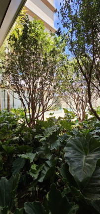 Imagem Imóvel com 3 Quartos à Venda, 239 m² em Jardim América - São Paulo