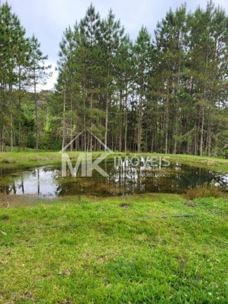 Imagem Chácara com 2 Quartos à Venda, 90 m² em Monte Alegre - Quatro Barras Imagem Chácara com 2 Quartos à Venda, 90 m² em Monte Alegre - Quatro Barras