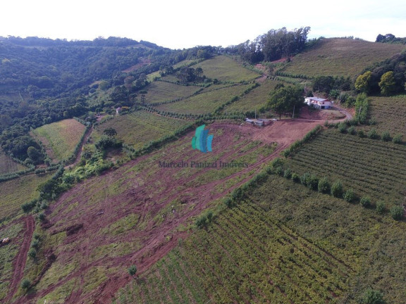 Terreno à Venda, 120.000 m² em Linha Pederneira - Monte Belo Do Sul