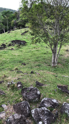 Imagem Terreno à Venda, 10.000 m² em Macacu - Garopaba Imagem Terreno à Venda, 10.000 m² em Macacu - Garopaba
