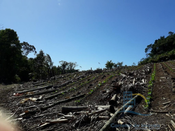 Imagem Terreno à Venda, 232.297 m² em Enseada - São Francisco Do Sul