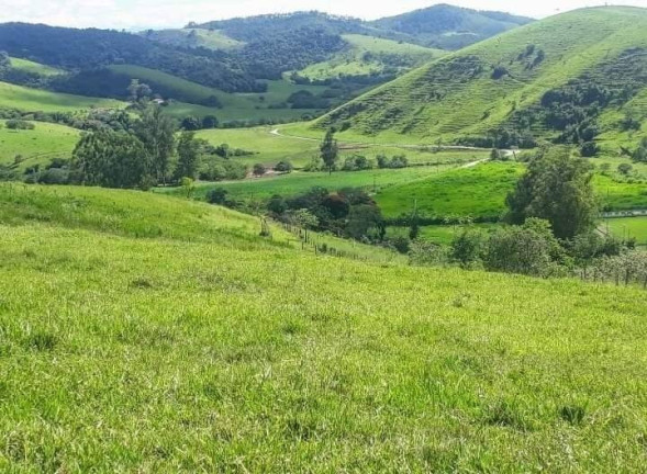 Imagem Chácara à Venda, 25.000 m² em Monte Belo - Taubaté Imagem Chácara à Venda, 25.000 m² em Monte Belo - Taubaté