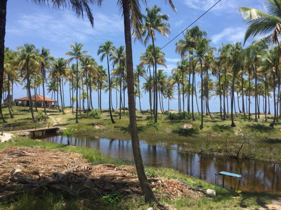 Casa à Venda,  em Algodões - Marau