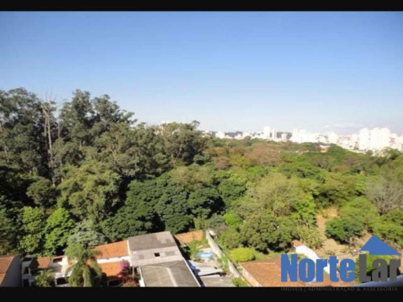 Imagem Apartamento com 3 Quartos à Venda, 60 m² em Vila Nova Cachoeirinha - São Paulo