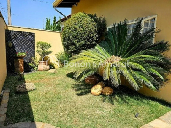 Imagem Casa com 3 Quartos para Alugar, 360 m² em Jardim Das Paineiras - Campinas Imagem Casa com 3 Quartos para Alugar, 360 m² em Jardim Das Paineiras - Campinas