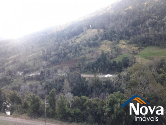 Imagem Imóvel à Venda, 60.000 m² em Linha Riachuelo - Nova Petrópolis