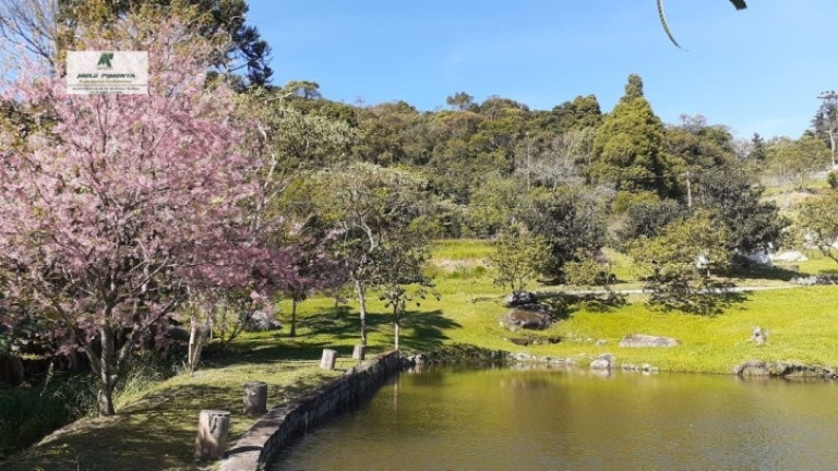 Imagem Casa de Condomínio com 3 Quartos à Venda, 1.000 m² em Alto Da Serra - São Roque Imagem Casa de Condomínio com 3 Quartos à Venda, 1.000 m² em Alto Da Serra - São Roque