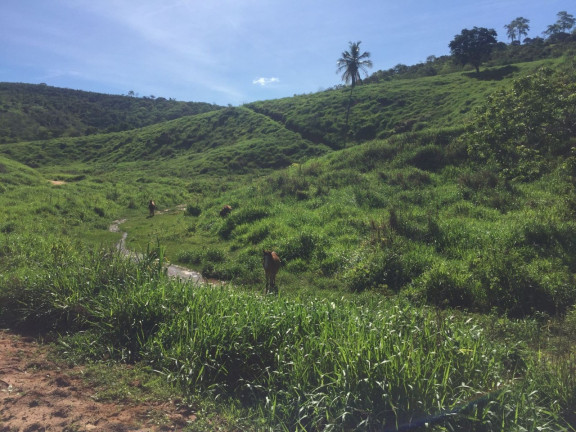Imóvel com 1 Quarto à Venda, 113 m² em área Rural De Colatina - Colatina