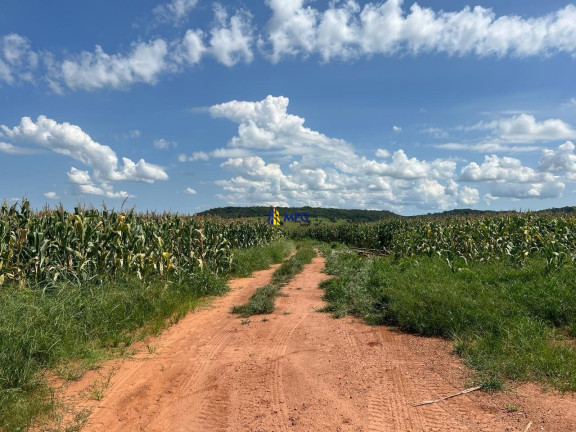 Imagem Chácara à Venda, em área Rural De Uberlândia - Uberlândia Imagem Chácara à Venda, em área Rural De Uberlândia - Uberlândia