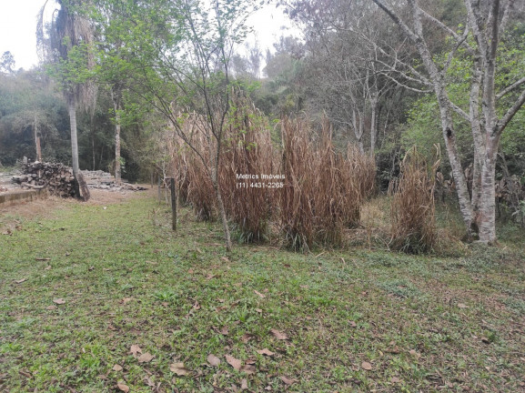 Imagem Imóvel com 5 Quartos à Venda,  em Pau Arcado - Campo Limpo Paulista